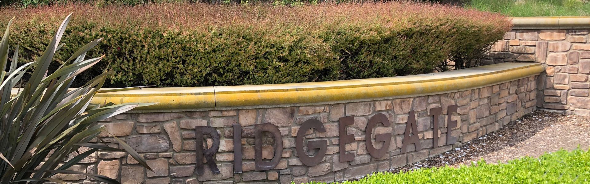 Welcome to Ridgegate!