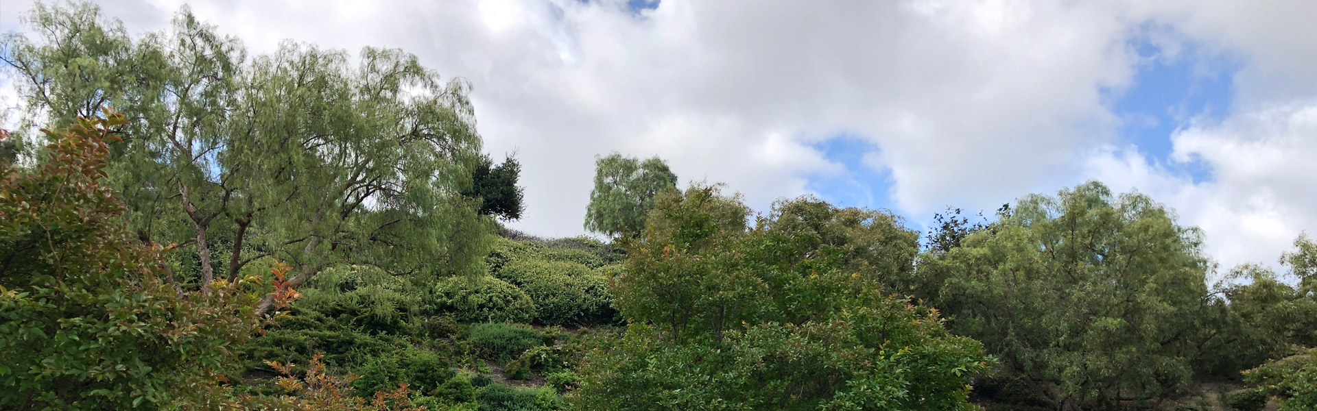 Welcome to Ridgegate!